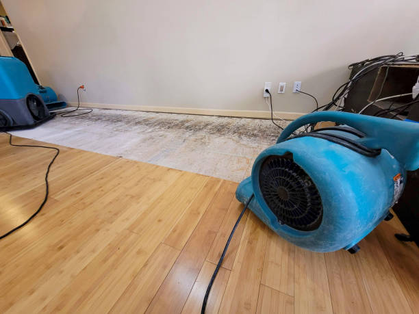 Professional Sewage Cleanup technician working in Menlo Park, CA